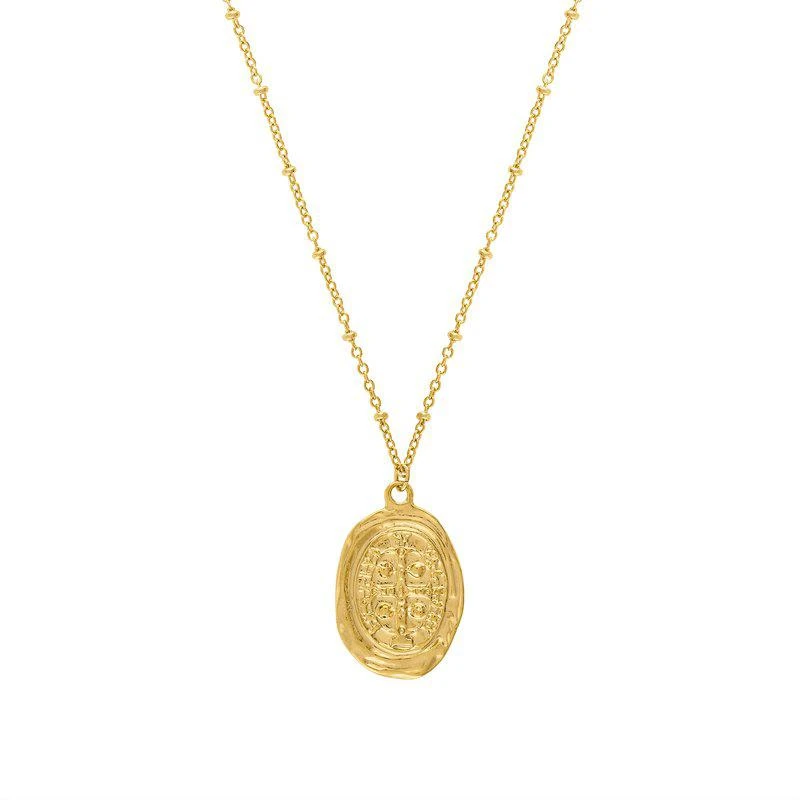 Olivia Le Demetria Oval Coin Necklace 1