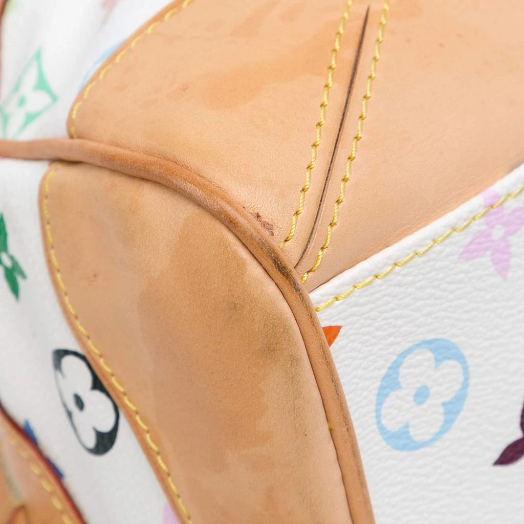 Louis Vuitton Louis Vuitton Monogram Multicolor Claudia 9