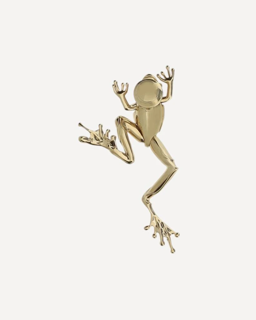 Bottega Veneta Small Frog Brooch 4