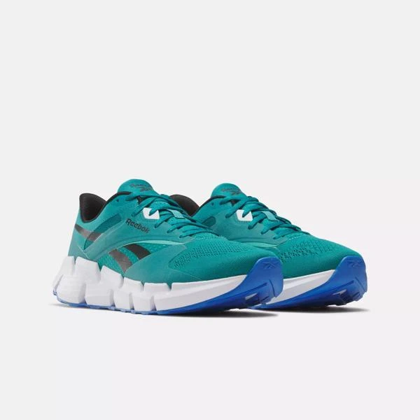 Reebok Zig Dynamica 5 Shoes 2