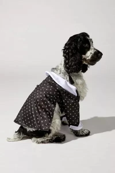 Urban Outfitters Wednesday Addams Pet Costume 2