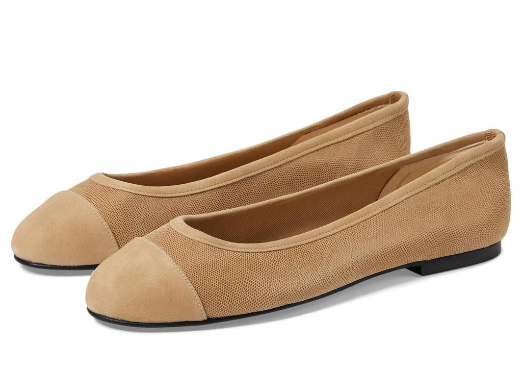 French Sole Tiffany 1