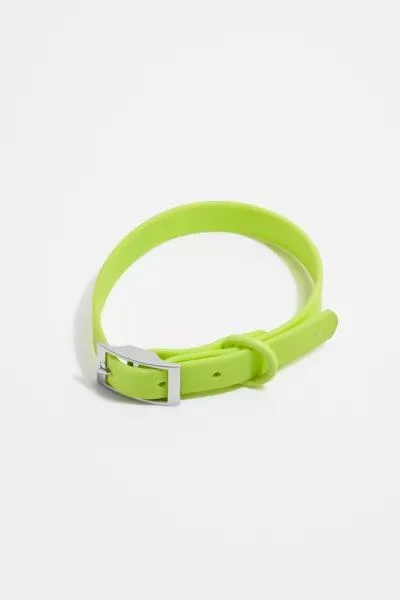 Wild One Wild One Dog Collar 2