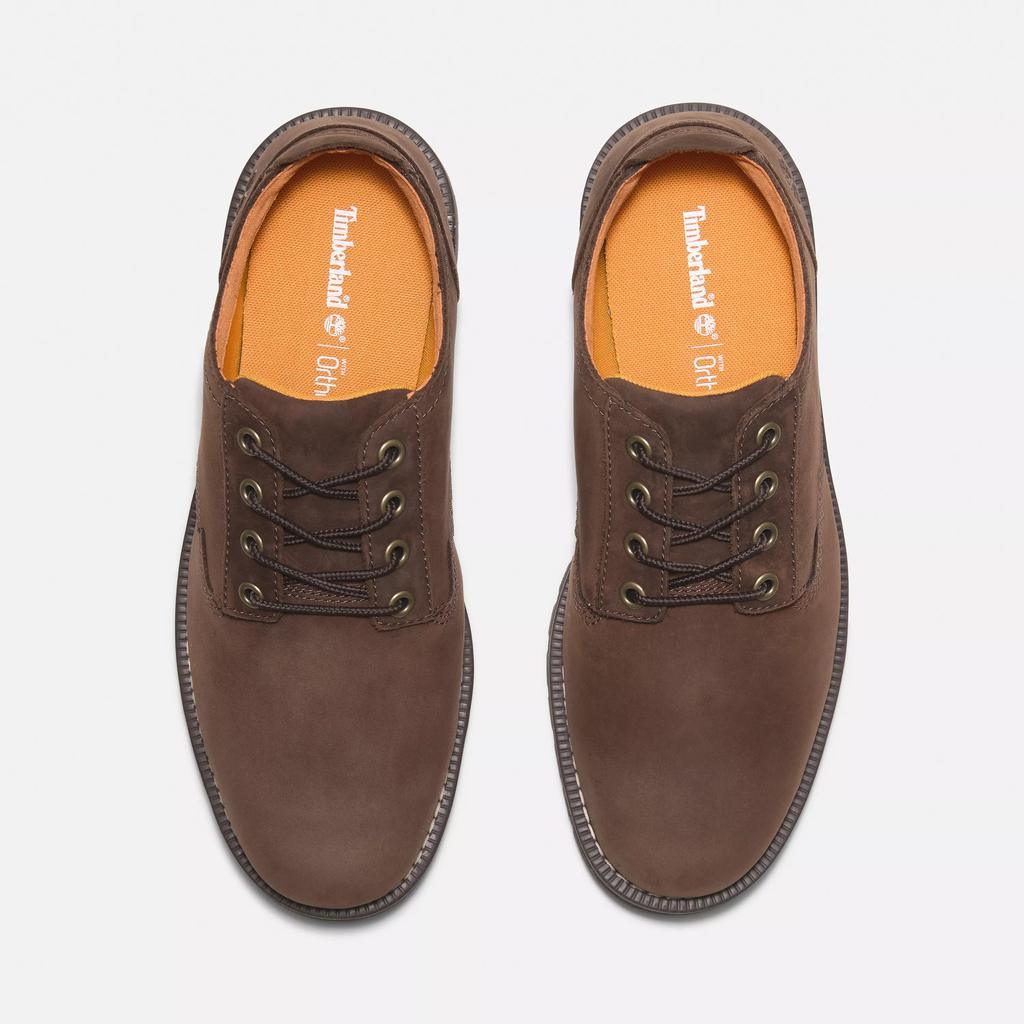 Timberland Men's Redwood Falls Lace-Up Waterproof Shoe