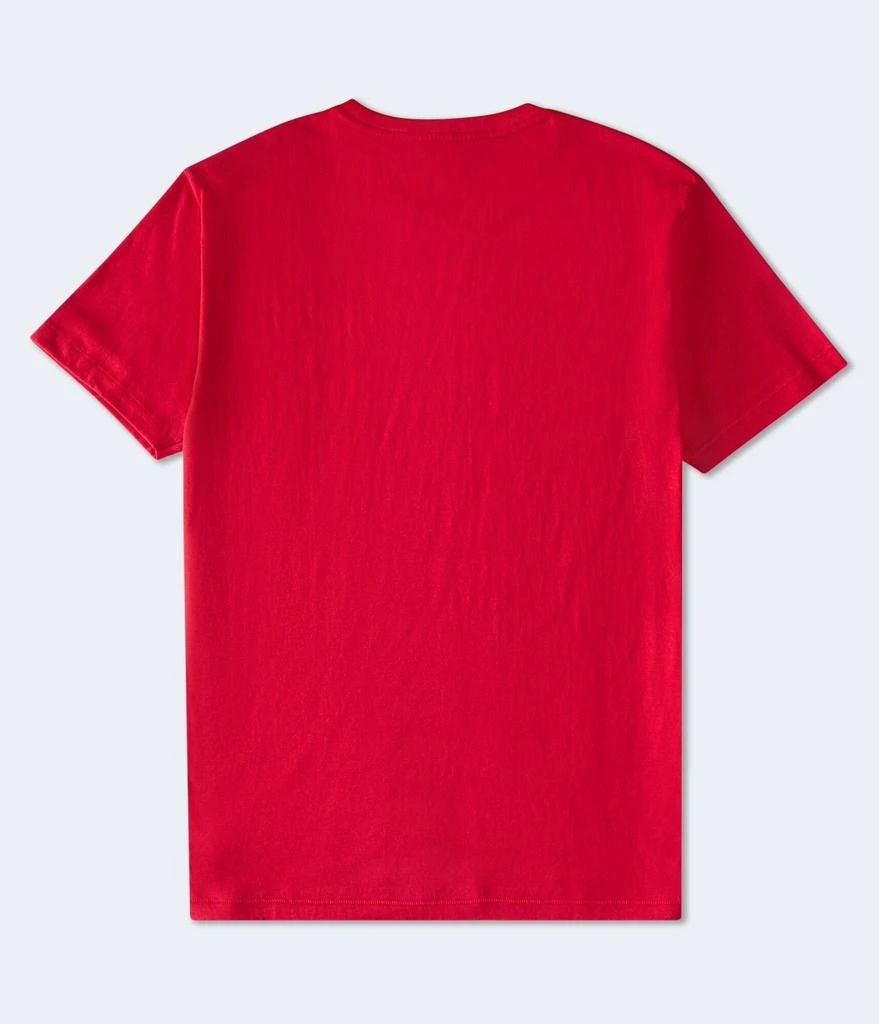 Aeropostale Nyc Usa Graphic Tee 3