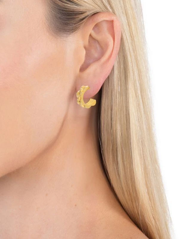 Eye Candy LA Luxe Avena Goldtone Titanium Half Hoop Earrings 2