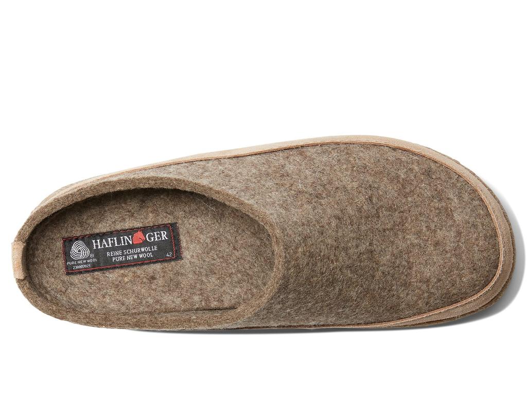 Haflinger Skane