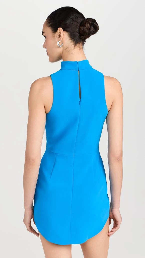 Amanda Uprichard Marshall Dress 2
