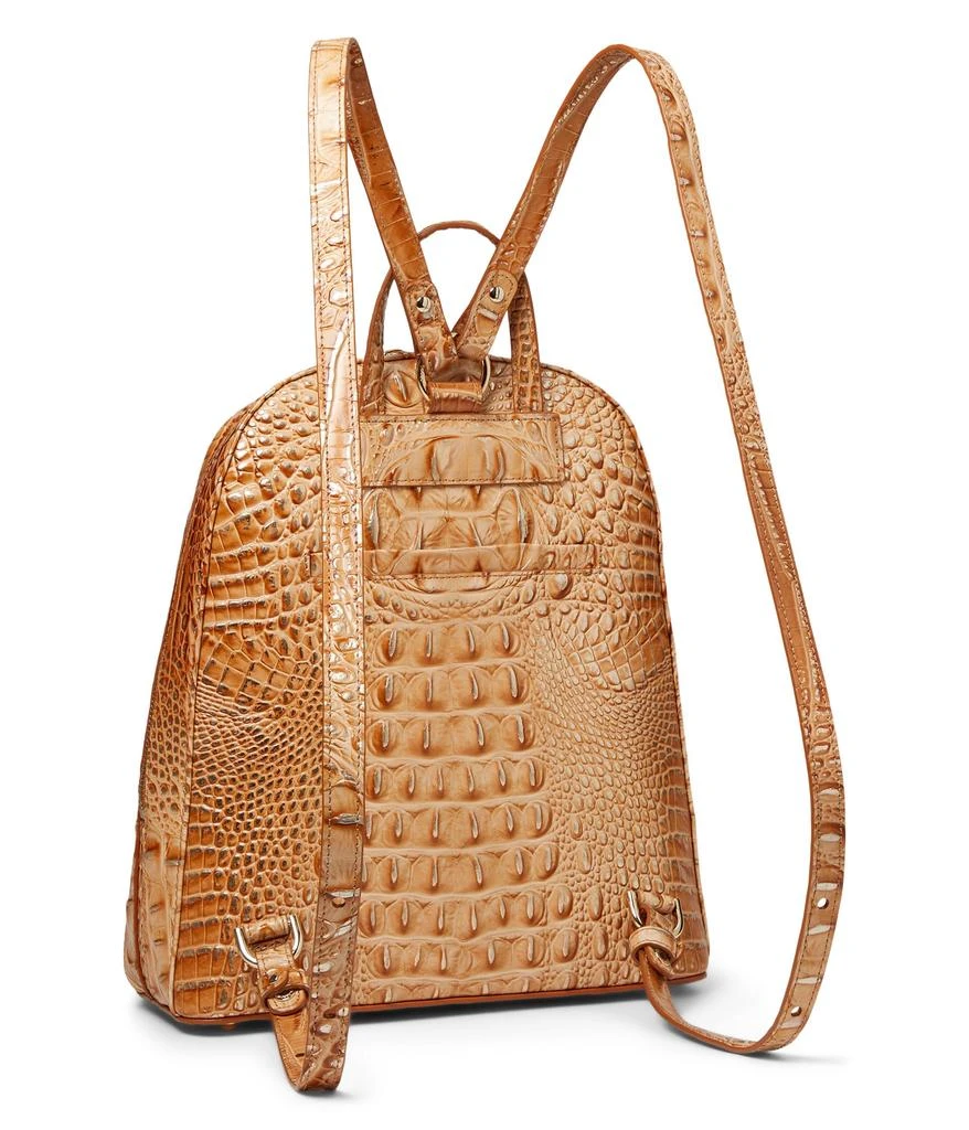 Brahmin Nola 2