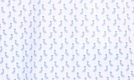 TailorByrd Byrds Performance Polo 4
