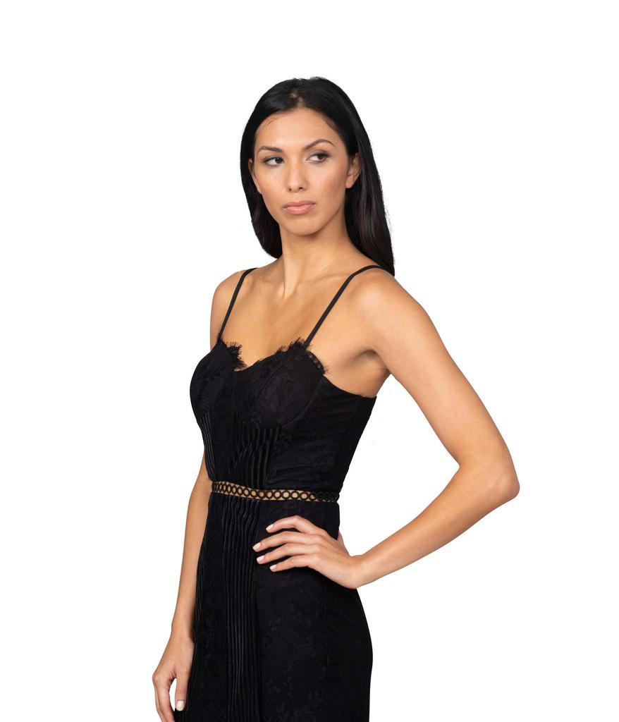 Bebe Lace Velvet Mini Dress