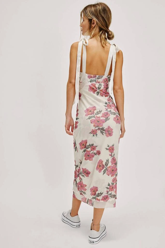 lacy dresses Marilyn Lace Dress (Mauve)