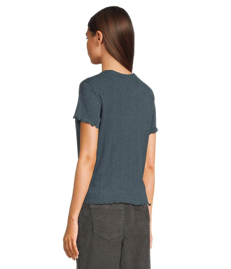 Toad & Co Foothill Pointelle Short Sleeve Baby Tee 3