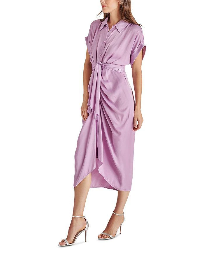 Steve Madden Tori Dress 4