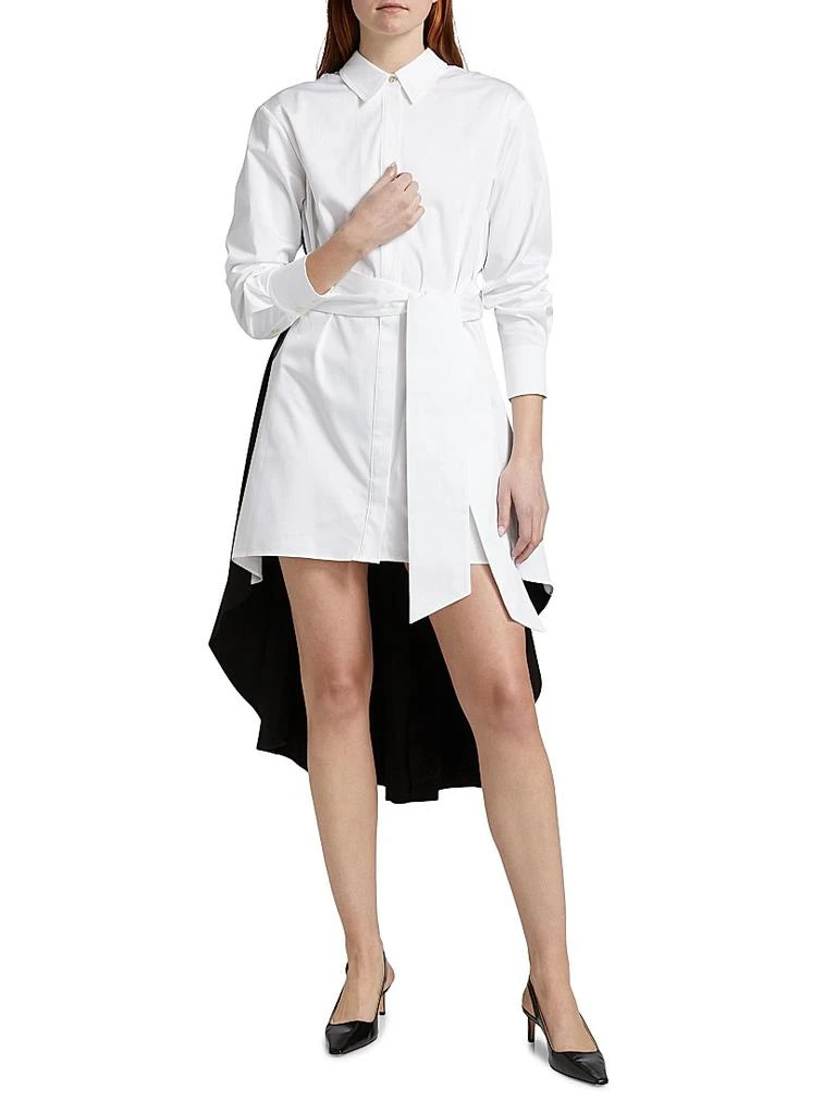 Toccin Ariella Fly Away Pleated Shirtdress 3