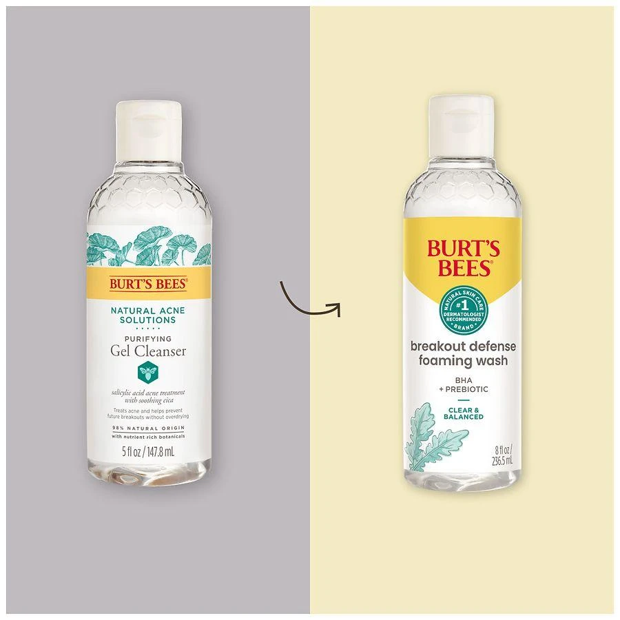 Burt's Bees Clear and Balanced Breakout Defense Foaming Wash 3