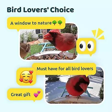 Birdfy Birdfy Smart Bird Feeder with Camera 9