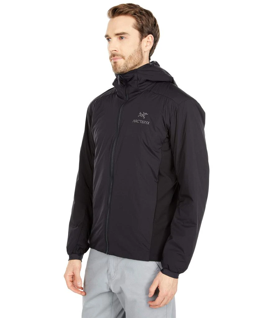 Arc'teryx Atom LT Hoodie 2