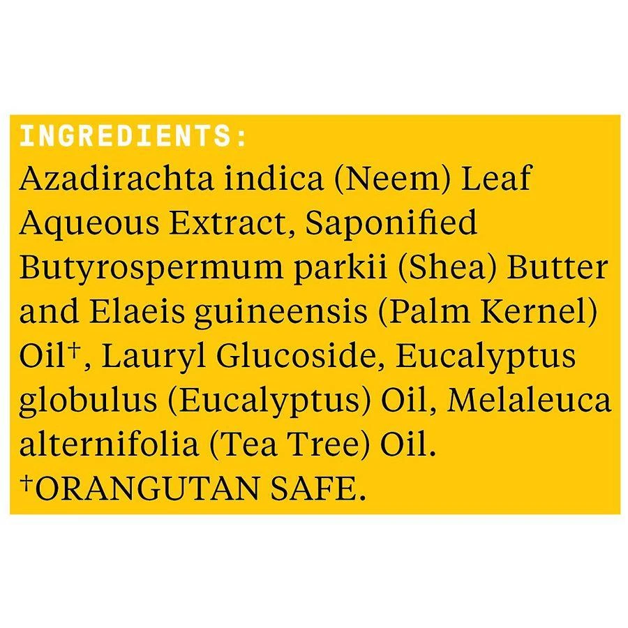 Alaffia Authentic African Black Soap All-In-One Eucalyptus Tea Tree 4