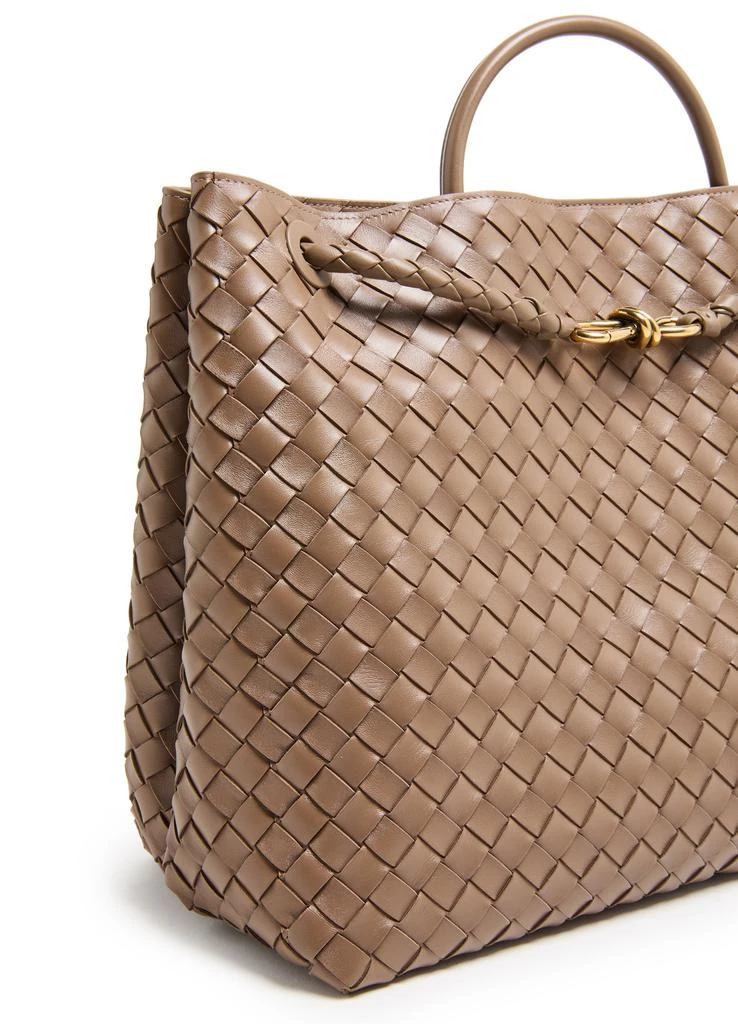 Bottega Veneta Andiamo large bag 6