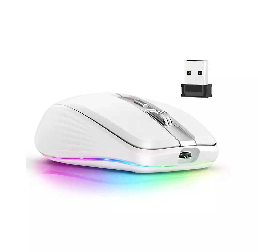 risokeys Dual-Mode Wireless Mouse-(2.4G 
Bluetooth 5.1), 2400 DPI Adjustable, Silent Click, Type-C Rechargeable 2