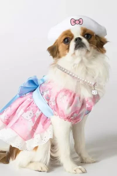 California Costumes Sanrio Hello Kitty Pet Costume 2