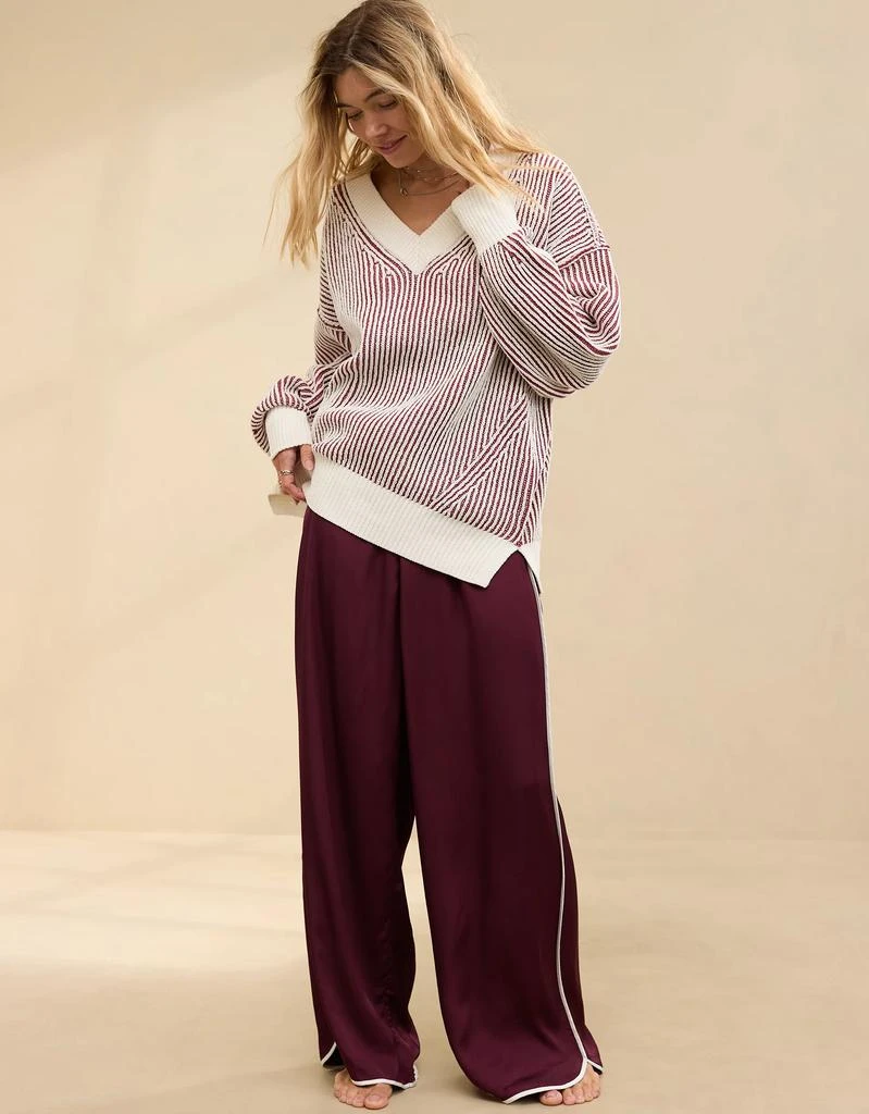 Aerie Aerie Beyond Chenille V-Neck Sweater 5