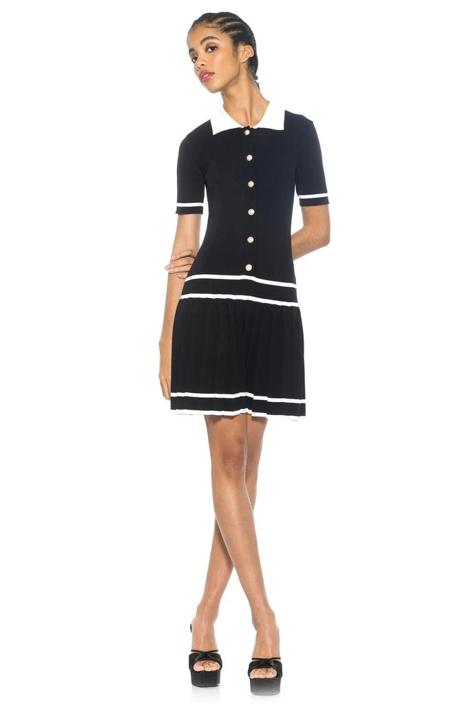 ALEXIA ADMOR Lucinda Short Sleeve Dress 4