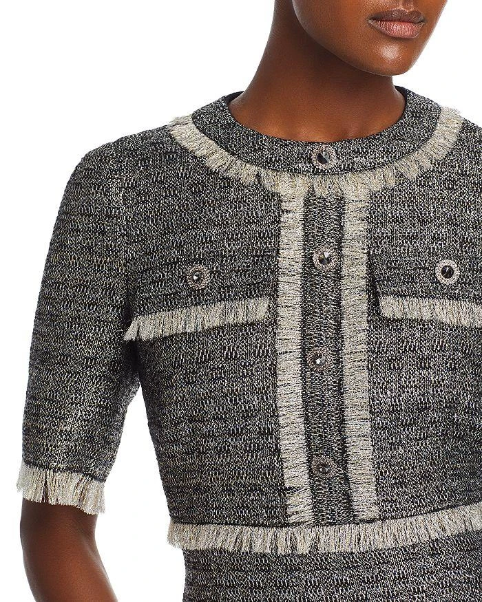 Teri Jon Metallic Tweed Fringe Trim Dress 2