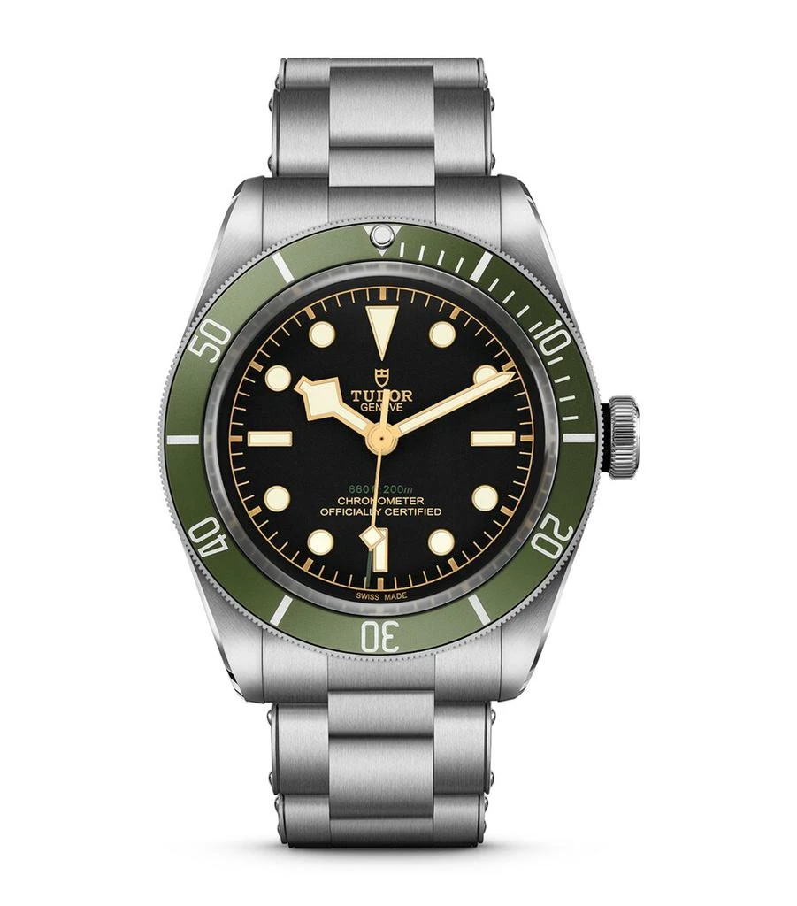 Tudor Black Bay Harrods Exclusive Stainless Steel Automatic Watch 41mm - M79230G-0001 1