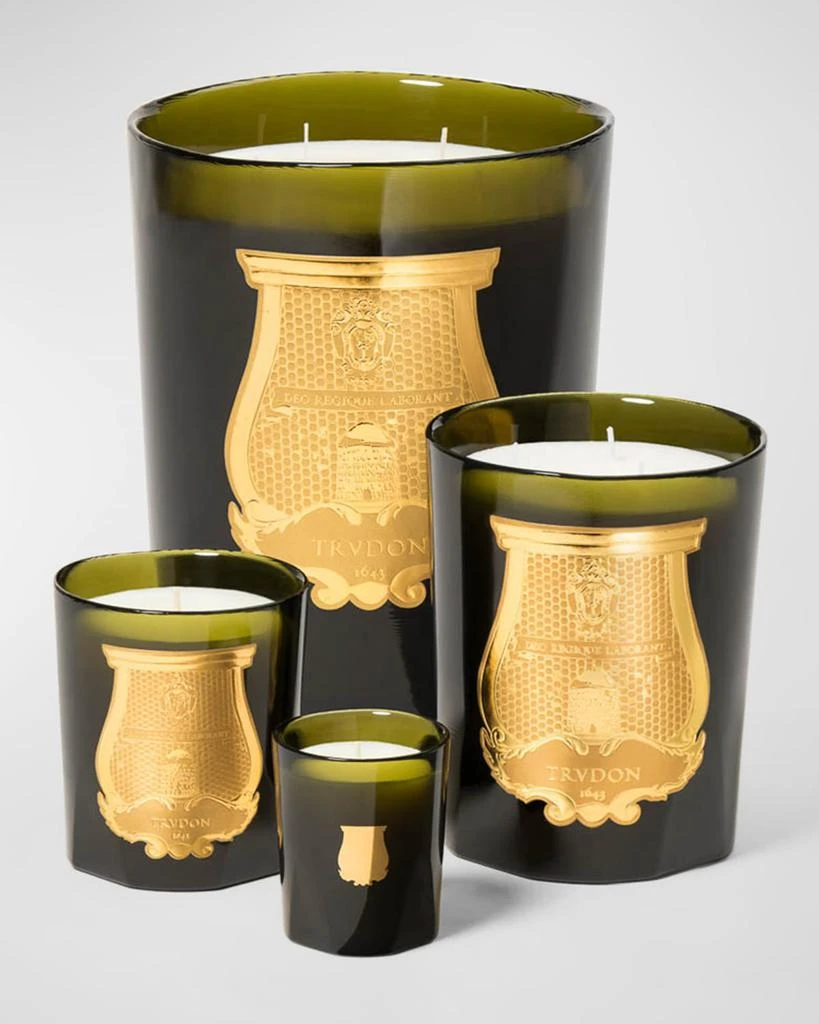 Cire Trudon Abd El Kader Grand Candle, Moroccan Mint Tea, 2.8 kg 3