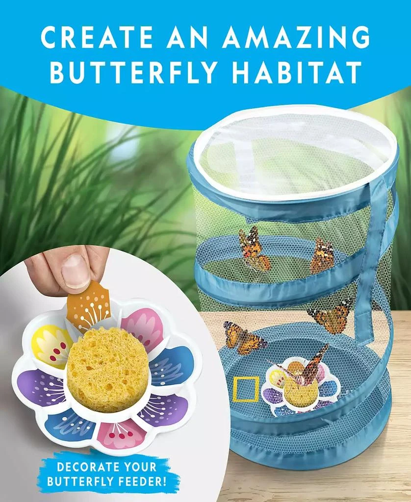 National Geographic Butterfly Growing Kit 4