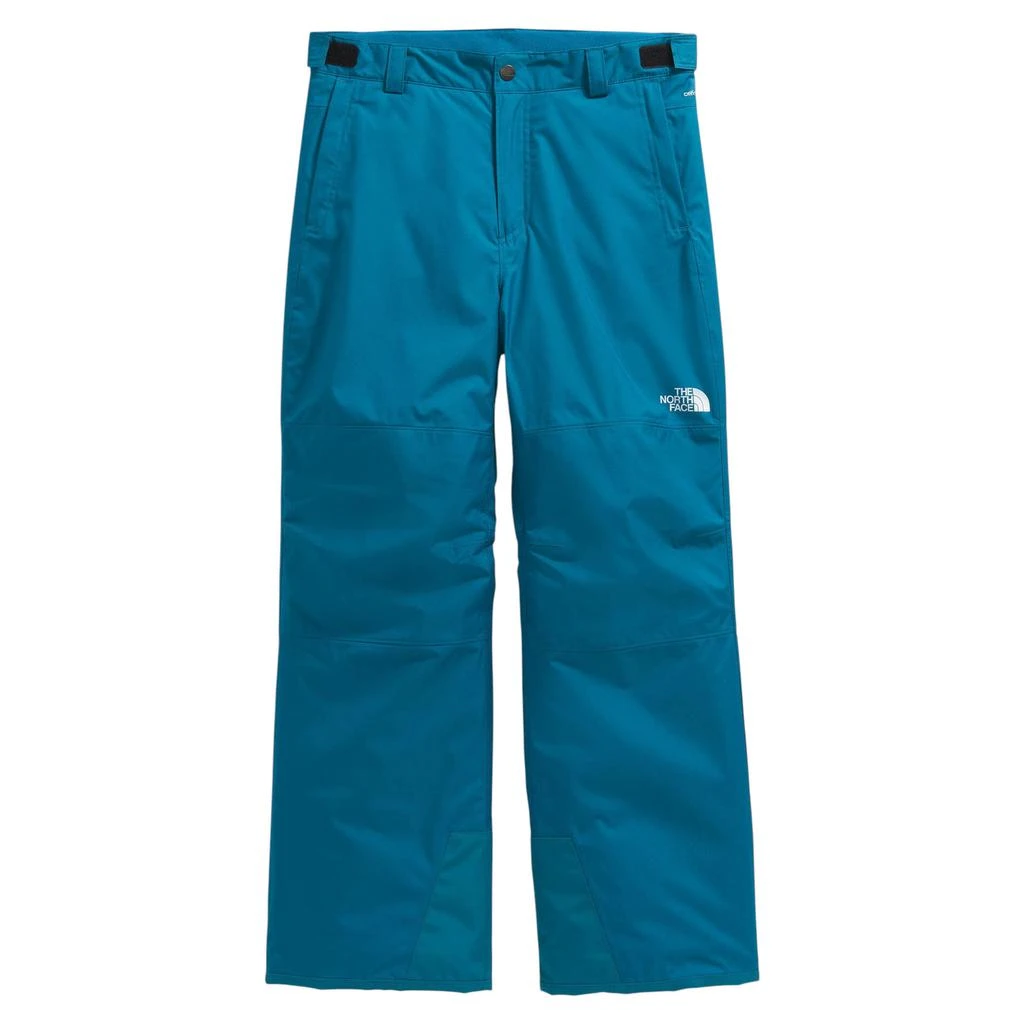 The North Face The North Face Freedom Insulated Pant - Boys'