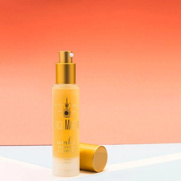 Tracie Martyn Tracie Martyn Amla Purifying Cleanser 1