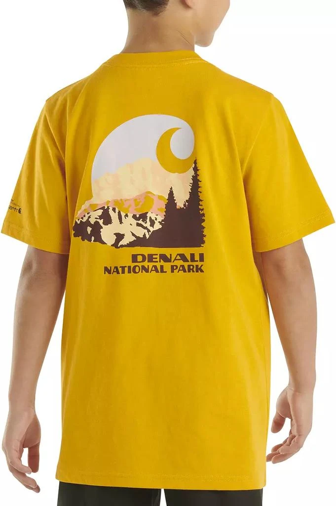 Carhartt Carhartt Boys' Denali National Park T-Shirt 2