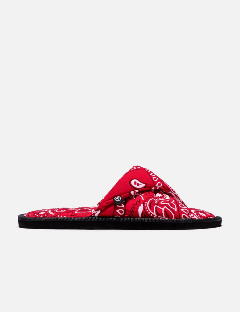 Arizona Love Vegas Slides