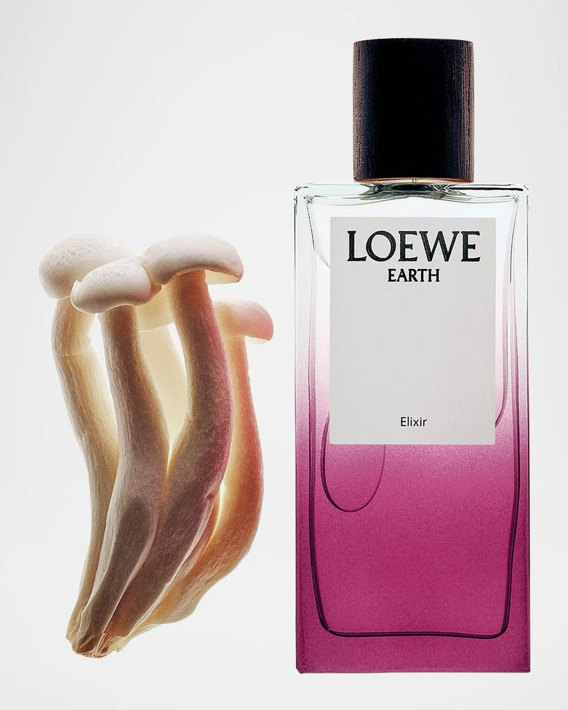 Loewe Earth Elixir Eau De Parfum, 50 mL 4