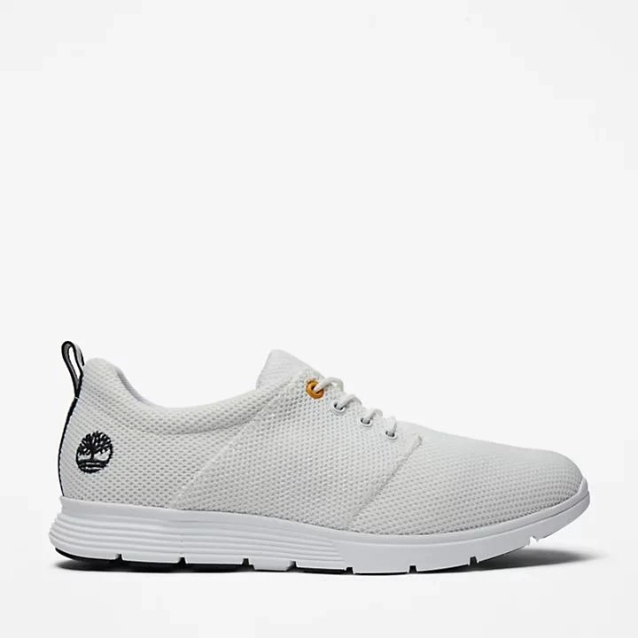 Timberland Killington Oxford Shoe for Men in White 1