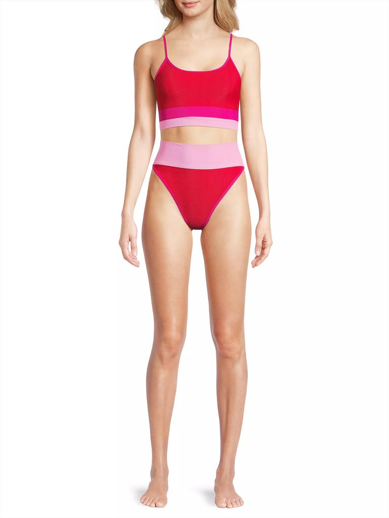 Beach Riot Emmy Colorblocked High-Waist Bikini Bottom