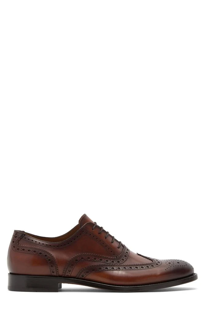 Antonio Maurizi Wingtip Oxford 4
