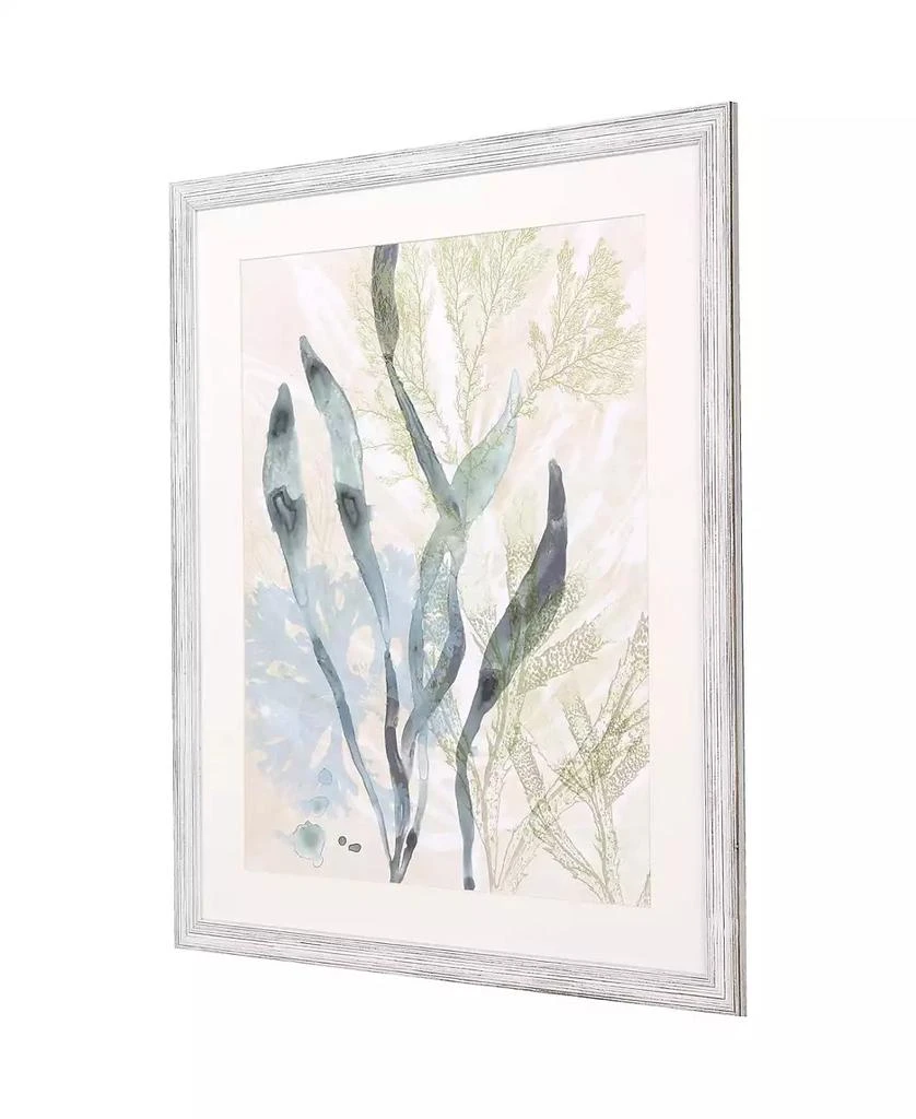 Paragon Picture Gallery Vintage-Like Ocean Jewels II Framed Art 2