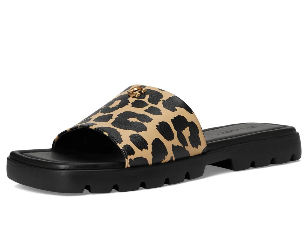 Coach Florence Sandal with Leopard Print 7