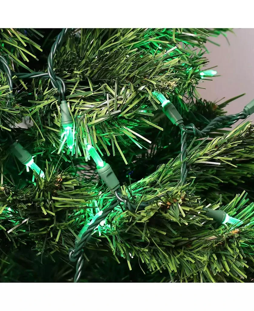 Sunnydaze Decor Electric Plug-In 70ct LED Indoor/Outdoor Smooth M6 - 23
String Lights 3