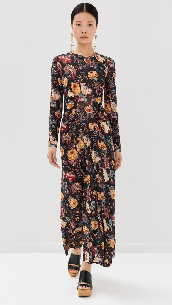Ulla Johnson Ceryse Dress 1