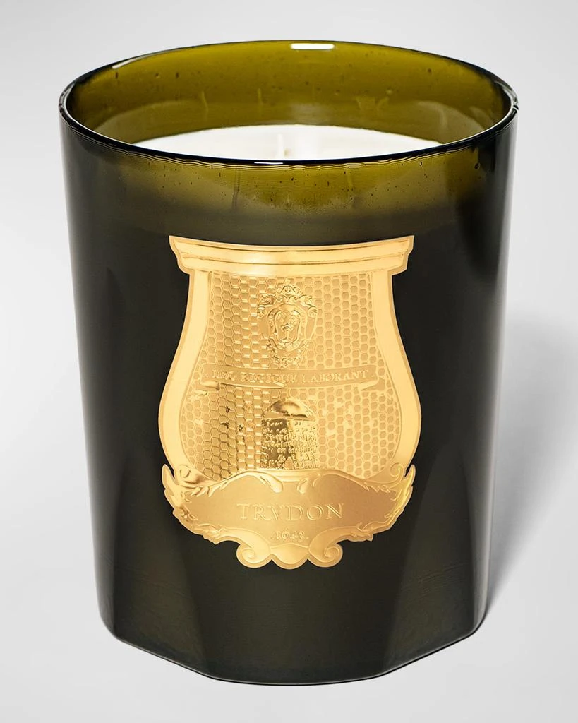 Cire Trudon Abd El Kader Grand Candle, Moroccan Mint Tea, 2.8 kg 1
