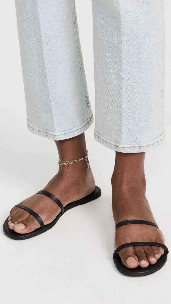Tkees Gemma Slides 2