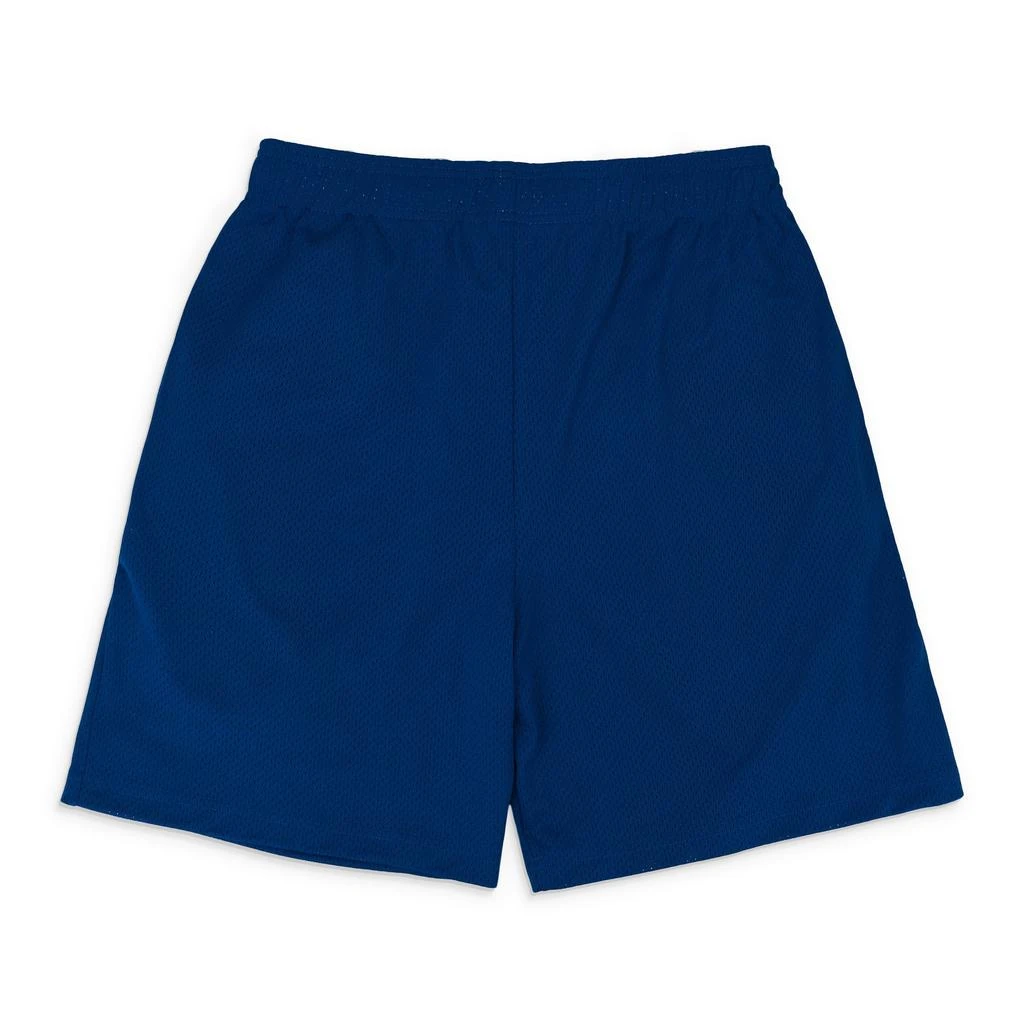 Warren Lotas WOODSTOCK MESH BLUE SHORTS 3
