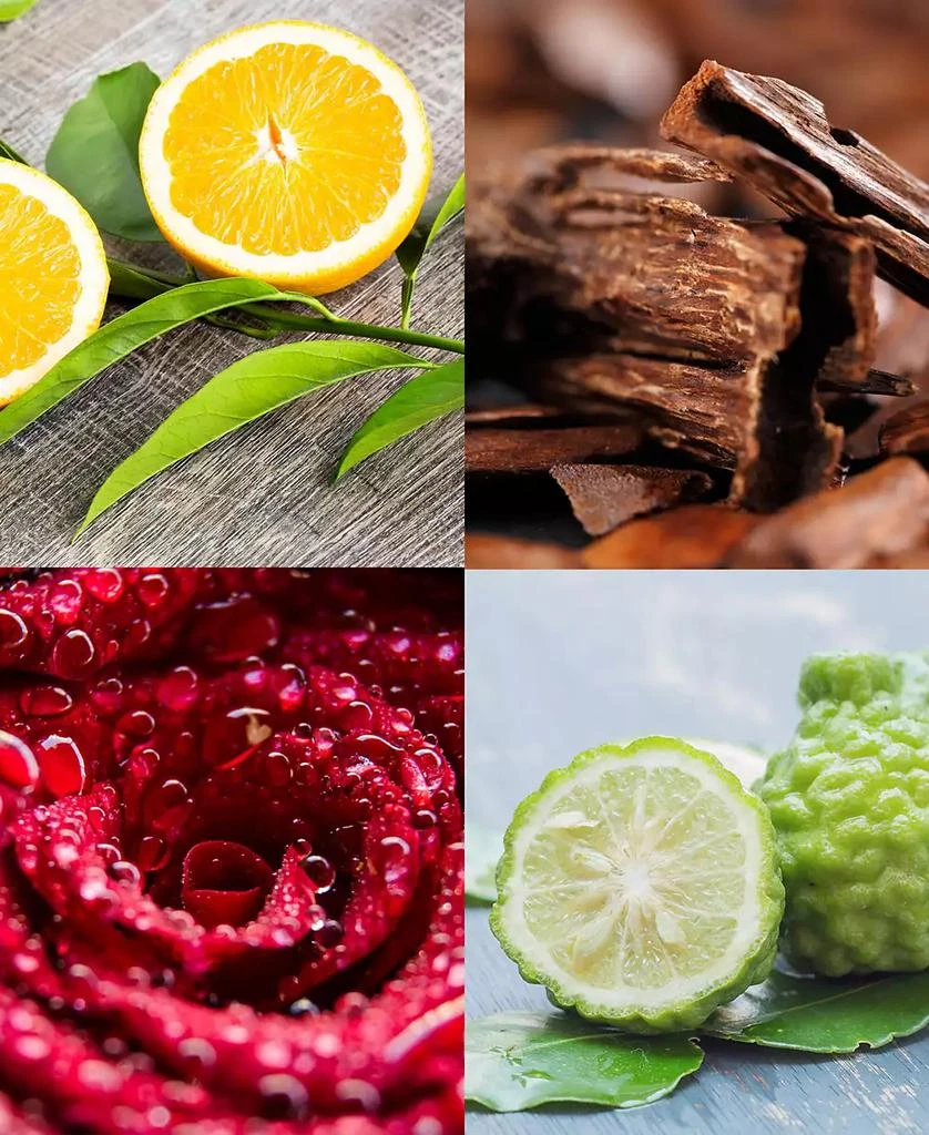 English Laundry 3-Pc. Royal Sunset Eau de Parfum Gift Set 3