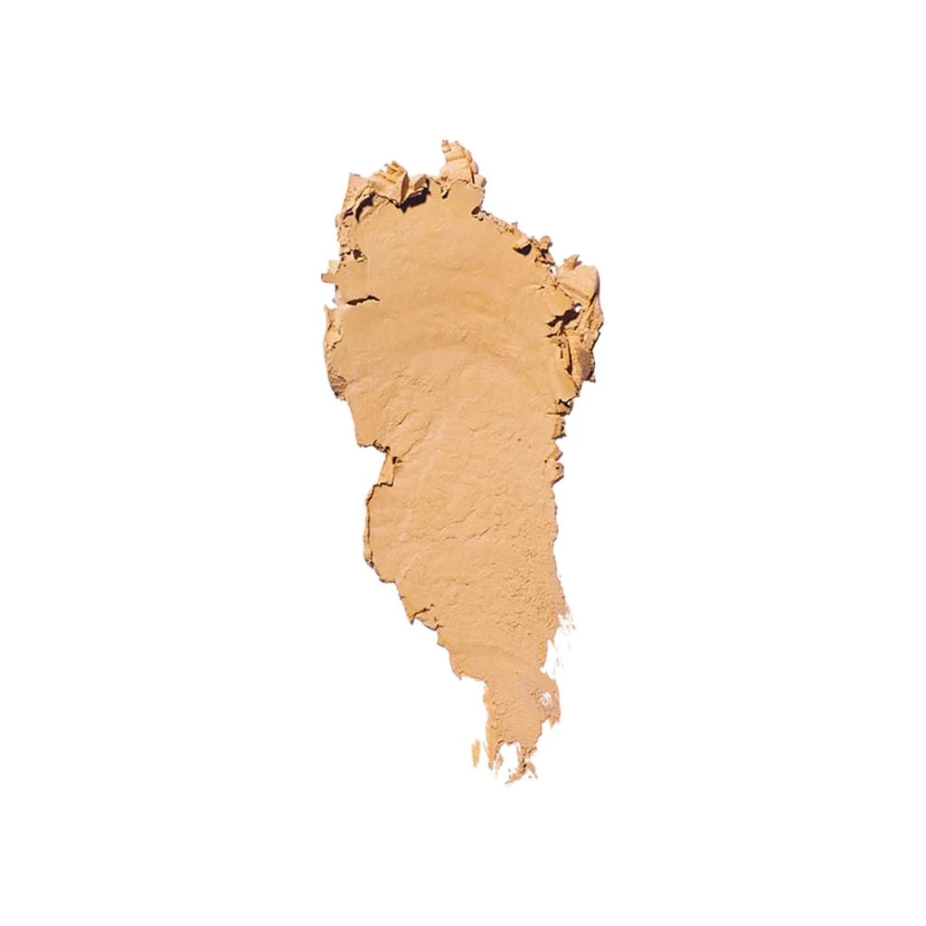 Bobbi Brown Skin Foundation Stick 196