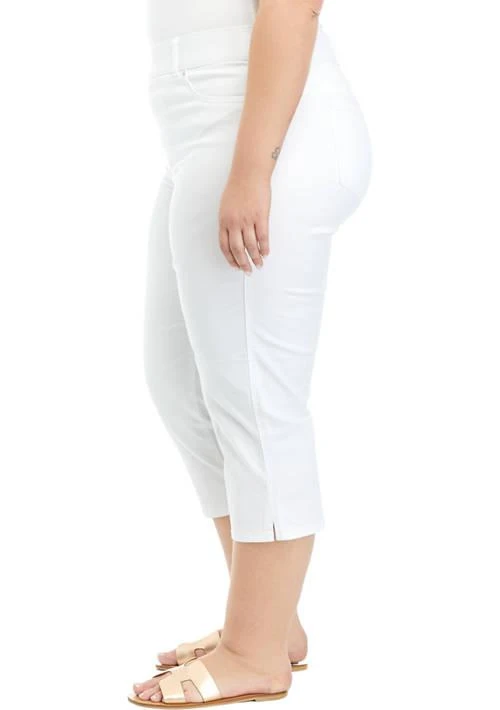 Gloria Vanderbilt Vanderbilt Plus Size Shape Effect Capri Pants 3